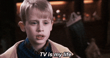 Home Alone Television GIF