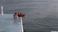 I Must Go Gifs Get The Best Gif On Giphy I Must Go Gifs Get The Best Gif On Giphy