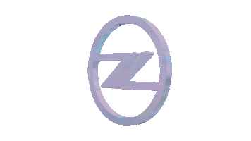 Zs Sticker by Zander Shine