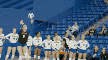 serve ncaa sports GIF by Delaware Blue Hens