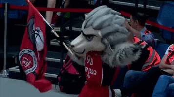 excited wolf GIF by Basketball Champions League