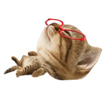 Tired Cat GIF