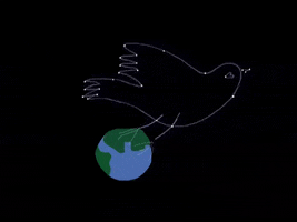 peace on earth bird GIF by Barbara Pozzi