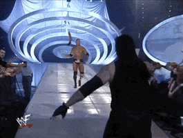 The Rock Fight GIF by WWE