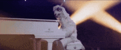piano mania GIF by Fall Out Boy