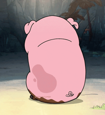 Pig What GIF