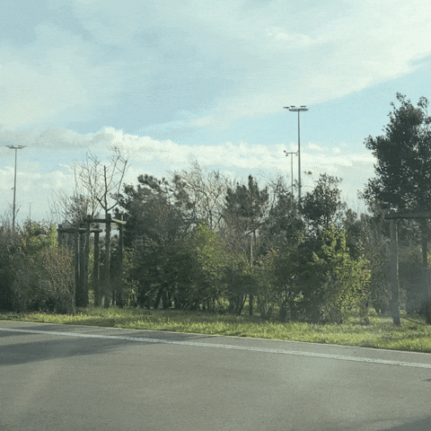 Driving France GIF
