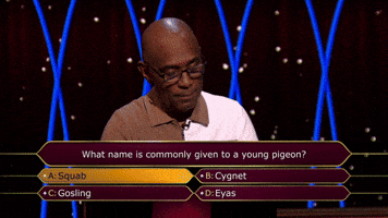 Right Answer Hotseat GIF by Stellify Media