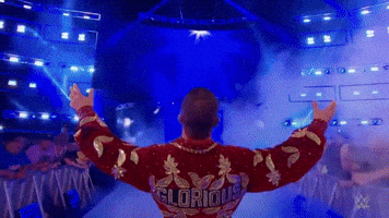 Wwe GIF