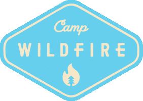 Hawks Wildfire Sticker by Camp Kindling