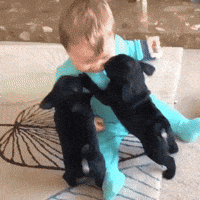 baby puppy GIF