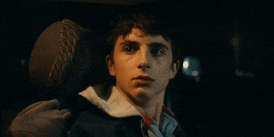 Interested Timothee Chalamet GIF by A24