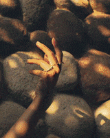 200.gif