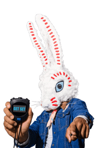 Bunny Bowl Sticker by 400 Conejos US