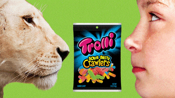 lion king candy GIF by Trolli