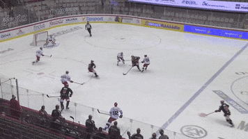 Ice Hockey Goal GIF by HC Oceláři Třinec