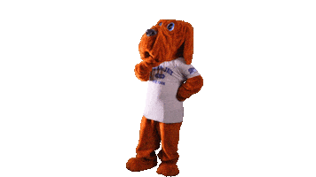 Bloodhound Cuny Sticker by John Jay College