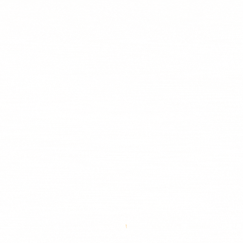 Notre Dame Law School GIF