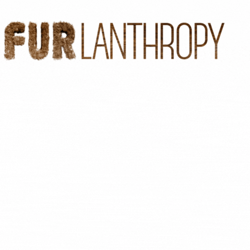 Furlanthropy GIF