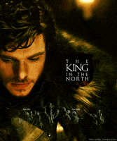 king of the north GIF