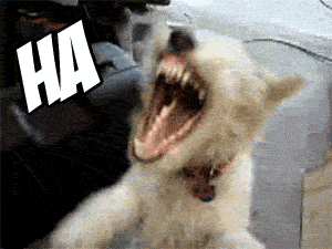 giphy.gif?cid=790b761193d60a1aae71a78387