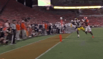 Lsu GIF