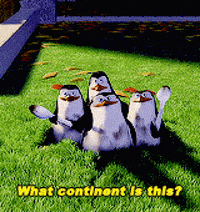 Cartoon gif. Skipper and the other penguins from Madagascar are in a hole in the ground with dirty spoons. Skipper asks Marty the Zebra, “What continent is this?” Marty, confused, replies, “Manhattan.”