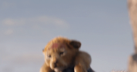 The Lion King Simba GIF by Walt Disney Studios - Find & Share on GIPHY