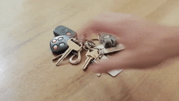 lets go keys GIF by Topshelf Records