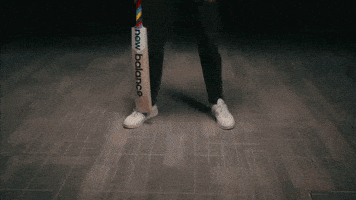 Sunrisers Hyderabad Captain GIF
