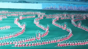 North Korea Gymnasts GIF