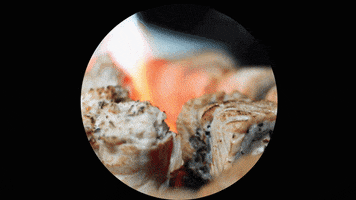 sushi temaki GIF