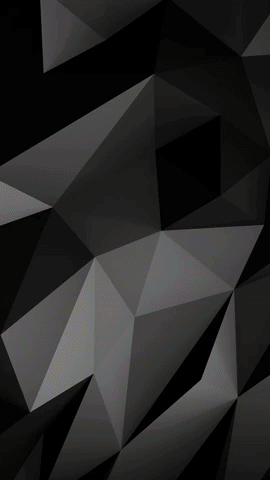 Daleplayball Leonesdeyucatan GIF