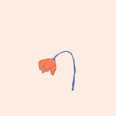 Digital Art Animation GIF by Tessi Eng