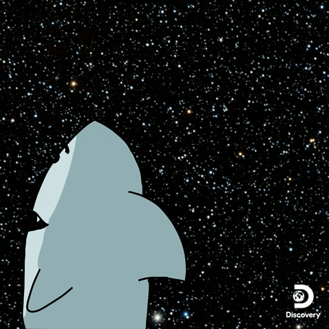 Digital art gif. A shark is in galaxy and it turns around to stare at us starry eyed as the galaxy morphs around it. Its jaw drops open and we see all its sharp teeth and the text reads, "WOW."