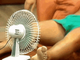 TV gif. Closeup on an electric fan aimed between a man's legs zooms out to reveal Rob Reiner as Michael Stivic in All in the Family, shirtless and wilted into the couch, trying to beat the heat by blowing air up his short shorts. 