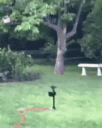 Sprinkler Gifs Get The Best Gif On Giphy