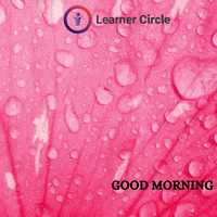 Good Morning Bird GIF by Learner Circle