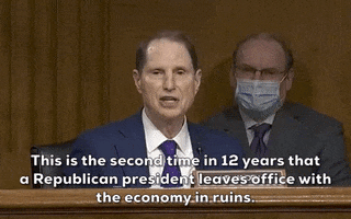 Ron Wyden GIF by GIPHY News