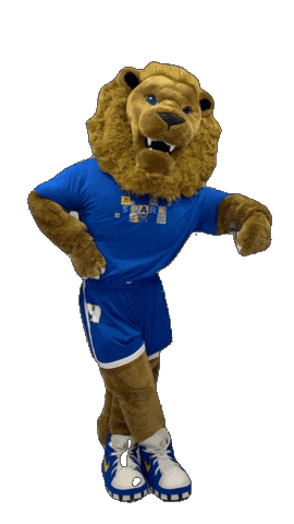 New York Hofstrau Sticker by Hofstra University