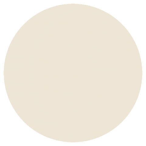 Breda Sticker by dezanderik