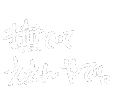 Kuma日本語 Sticker