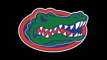 university of florida college GIF by Florida Gators