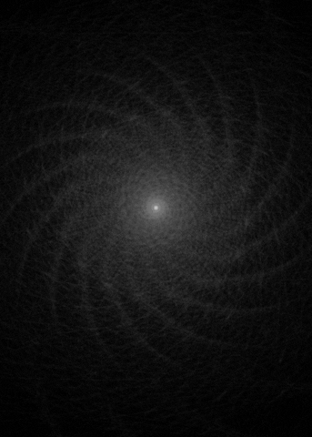 black and white processing GIF by James Proctor