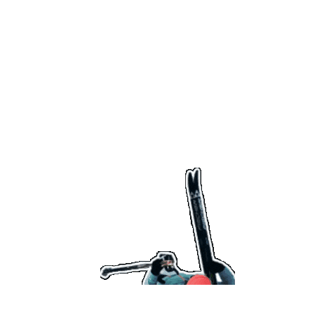 Langlauf Xcskiing Sticker by MESSE ESSEN