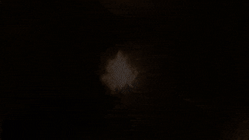 Tiling GIF by TheTilersHub