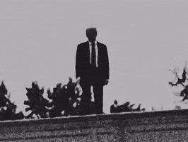 Donald Trump GIF