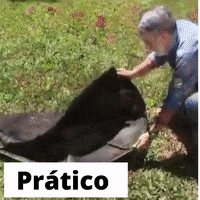 Jardim dos Sonhos - Plante seu Alimento em Casa