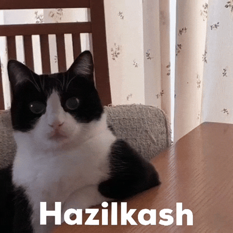 Uzbek Uzb GIF