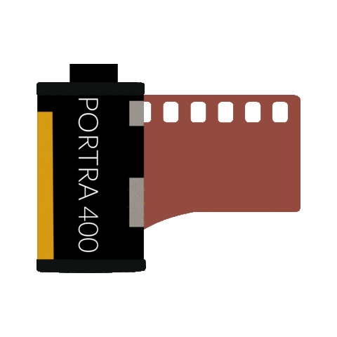 Film Photography Sticker by Pellicola Magazine